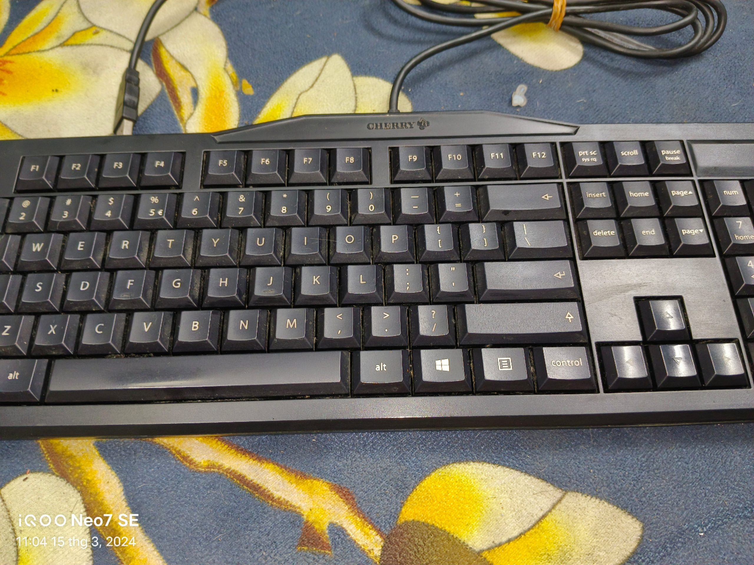 Bàn phím cơ Cherry G80-3800LUAEU-2 /13 - Switch Cherry Black - Hàng cũ - Ảnh 4