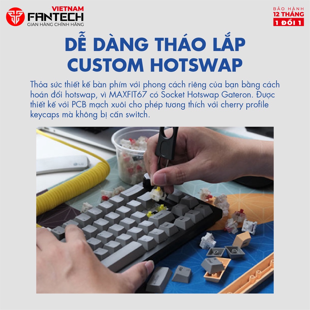 Bàn phím cơ custom FANTECH MK858 MAXFIT67 LED RGB Tháo lắp hotswap - Switch Gateron CAP milky yellow - Ảnh 6