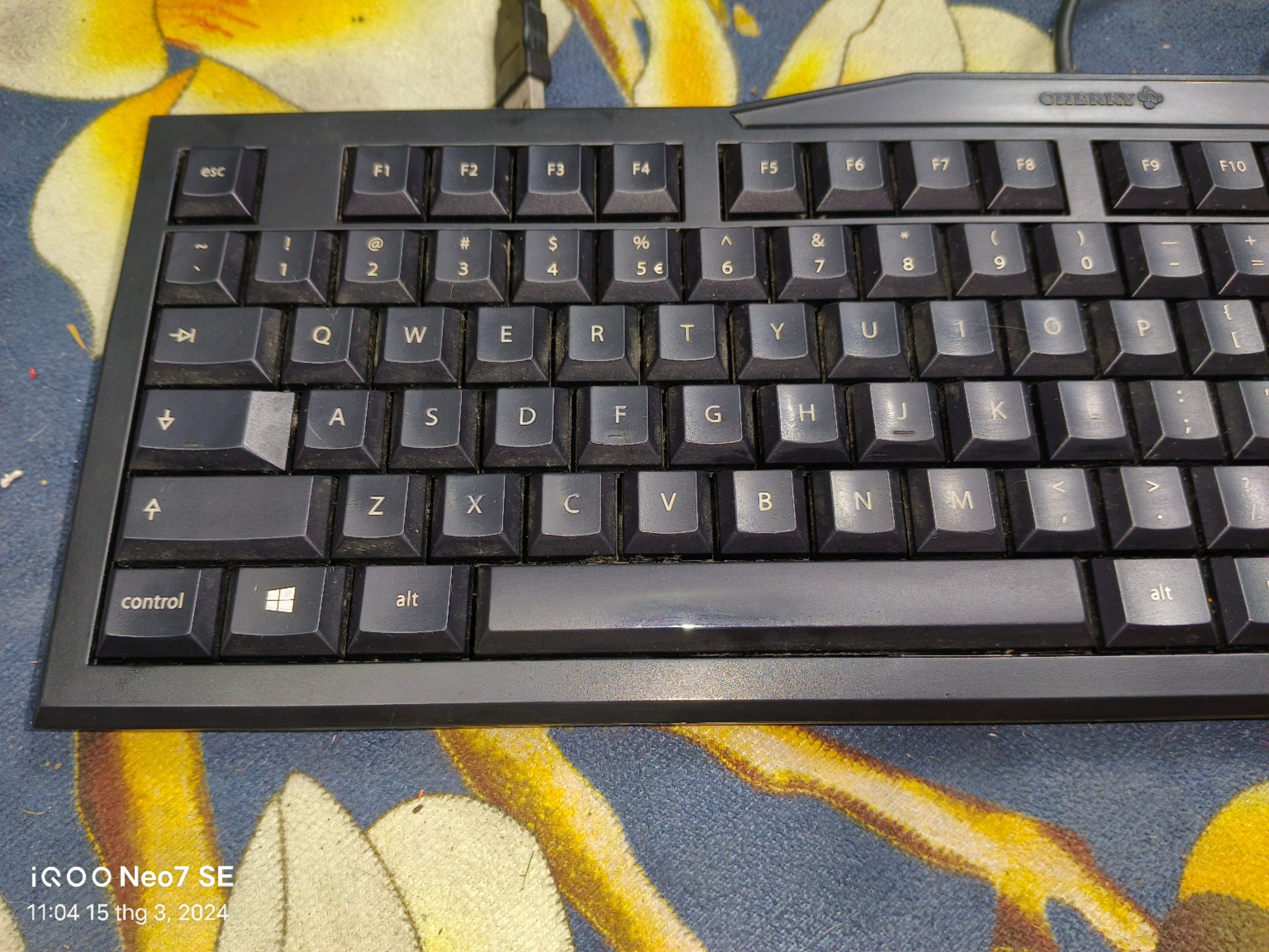 Bàn phím cơ Cherry G80-3800LUAEU-2 /13 - Switch Cherry Black - Hàng cũ - Ảnh 9
