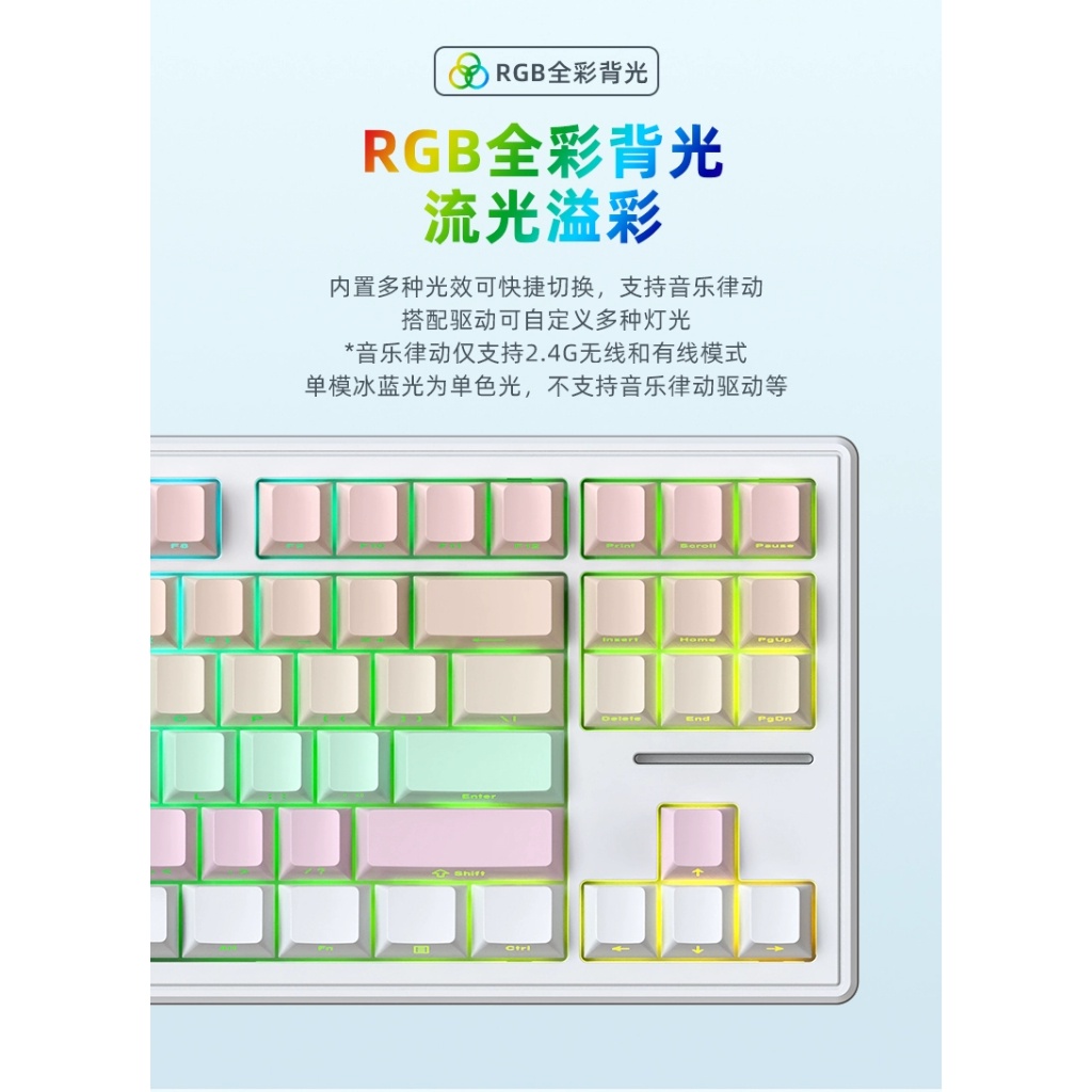 Bàn phím cơ không dây Xinmeng M87 Pro Mạch xuôi / 3 Mode / Led RGB / Hotswap / Gasket mount MKSHOP - Ảnh 7
