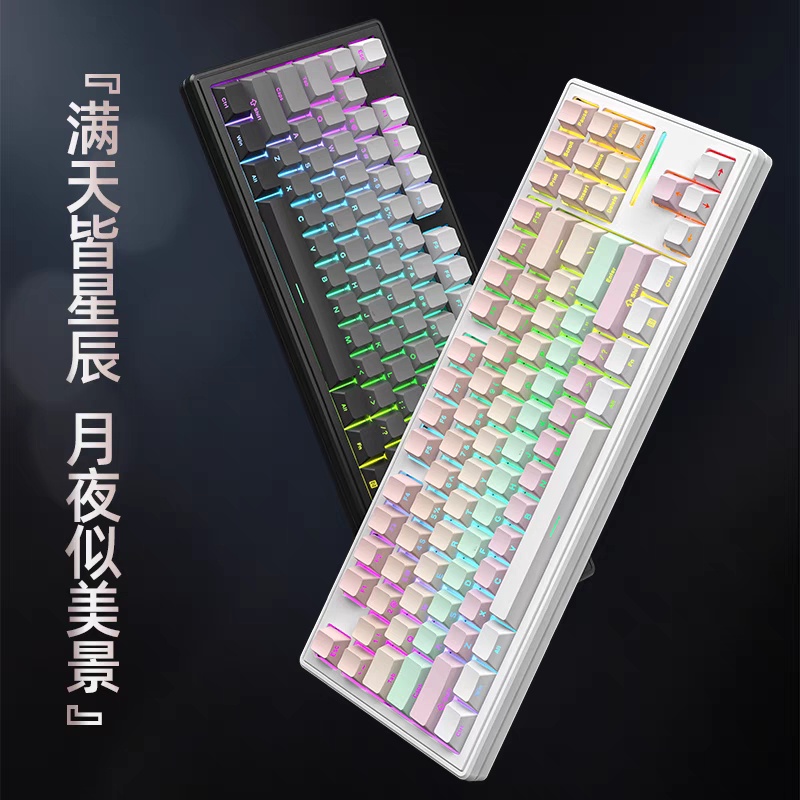 Bàn phím cơ không dây Xinmeng M87 Pro Mạch xuôi / 3 Mode / Led RGB / Hotswap / Gasket mount MKSHOP - Ảnh 2