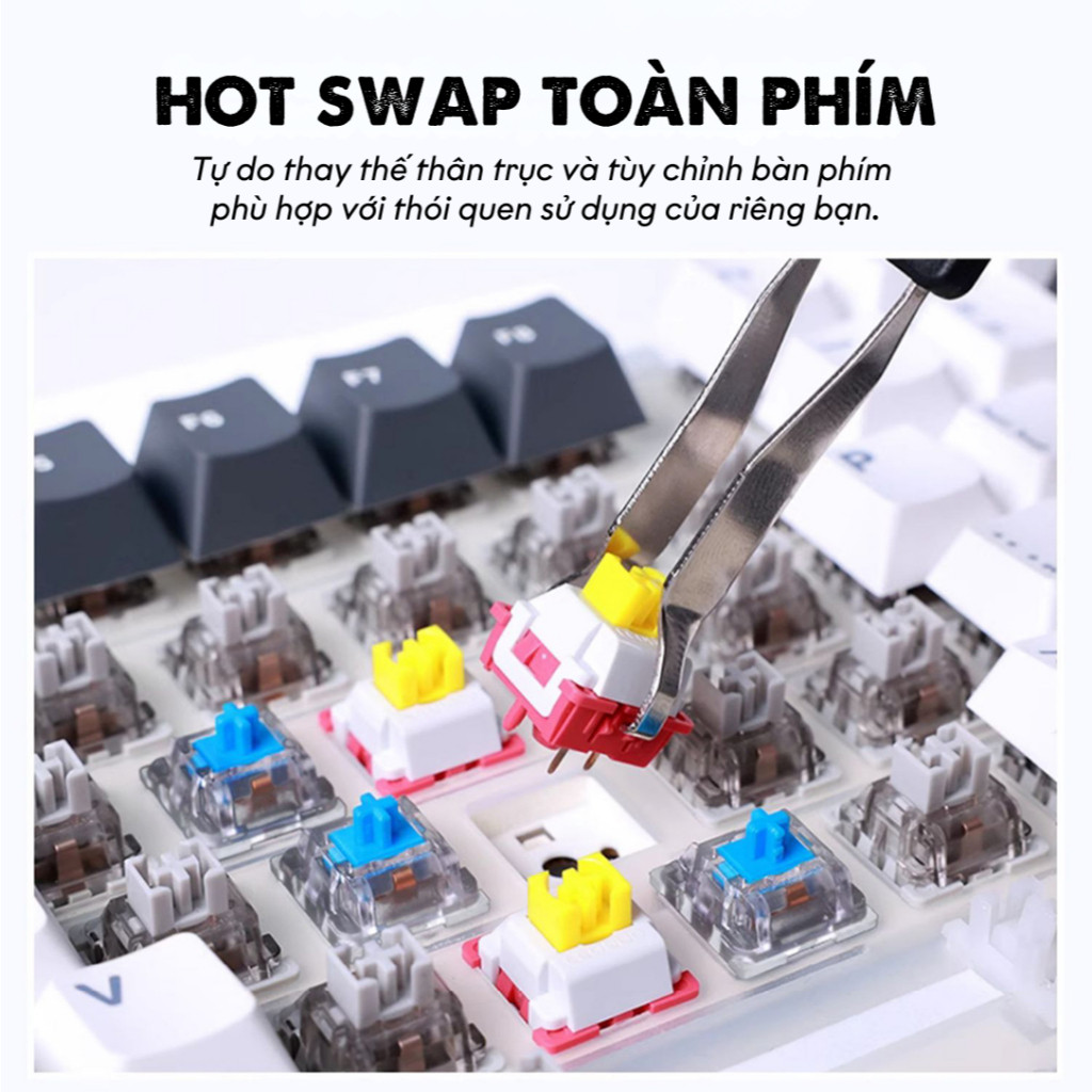Bàn Phím Cơ Aula F87 | 3 Mode, Hotswap, RGB | Gasket Mount | MKShop - Ảnh 3