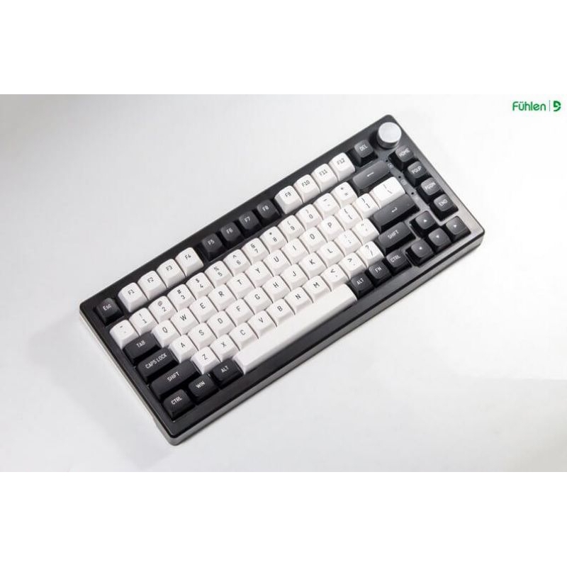 Bộ nút Keycap Fuhlen Panda PBT Double shot CSA Profile - Ảnh 3