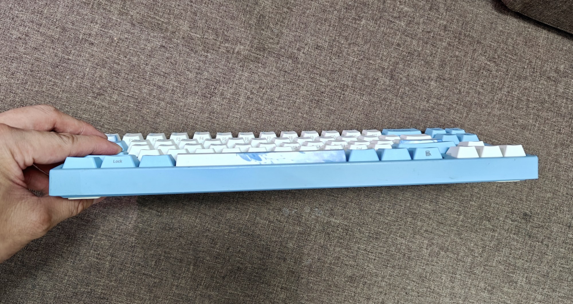 Bàn Phím Cơ Miya68 Pro (Varmilo x Ducky) Cũ - Type C, Cherry Brown | MKShop 6 Góc nghiêng tổng thể bàn phím cơ Miya68 Pro màu xanh dương và trắng với họa tiết cá voi.