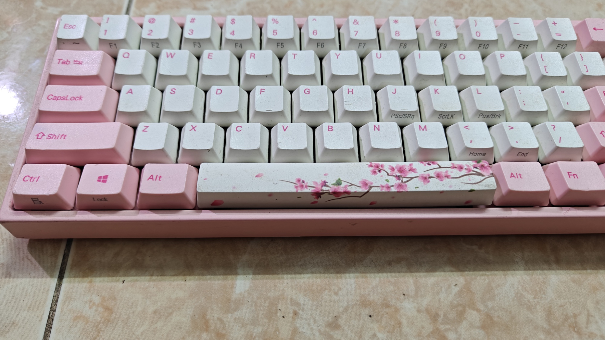 Varmilo Miya68 Pro - Pink 2 Góc nhìn trước bàn phím Varmilo Miya68 Pro hồng với keycap trắng hồng và spacebar hoa anh đào